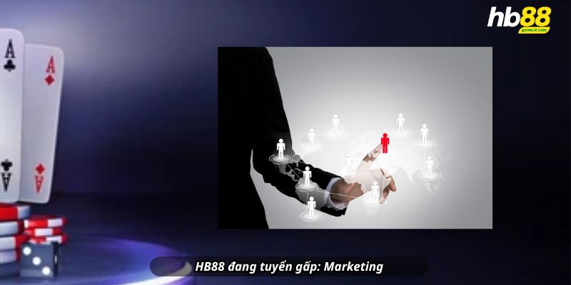 HB88 đang tuyển gấp: Marketing – Kinh doanh – Lập trình viên – Quản lý dự án