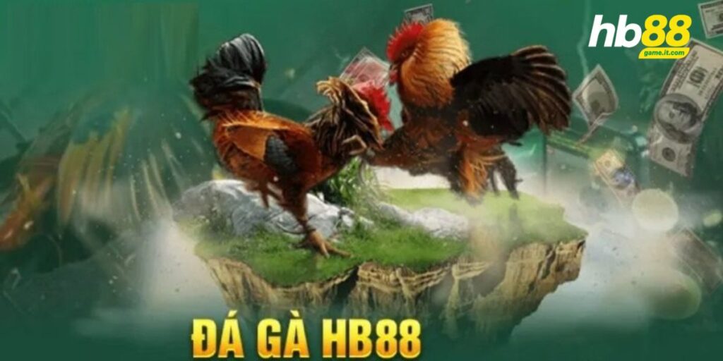 Luật Đá Gà Miền Bắc HB88